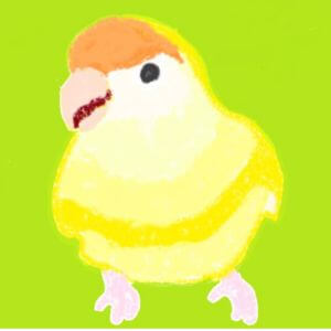 きづき